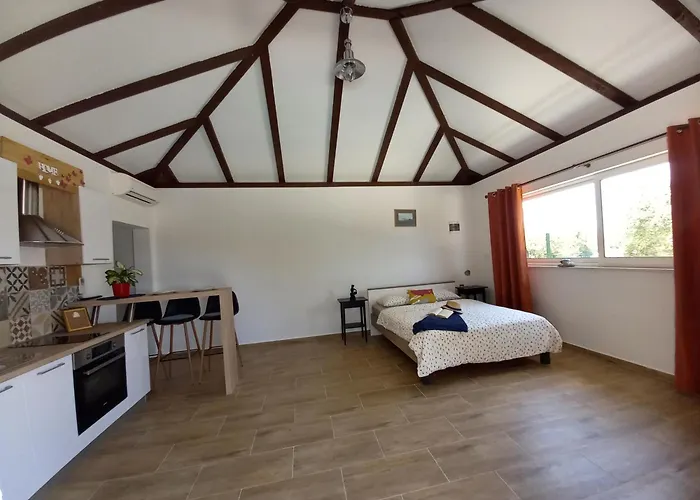 Relax أوروبيتش